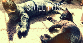 these two shall pass thumb